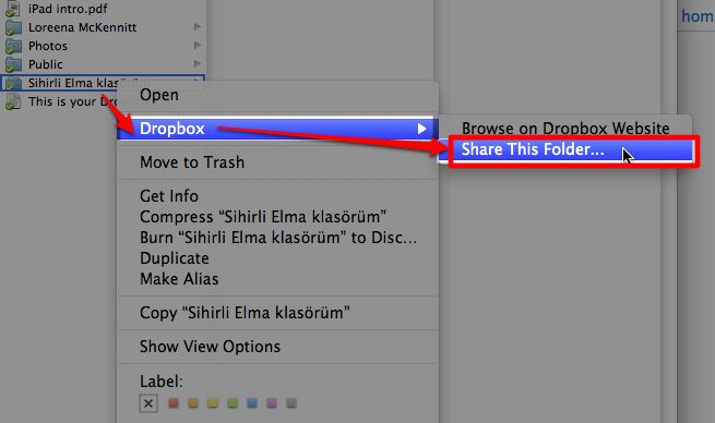 Sihirli-Elma-Dropbox-11-Share-folder-2011-01-14-19-00.png