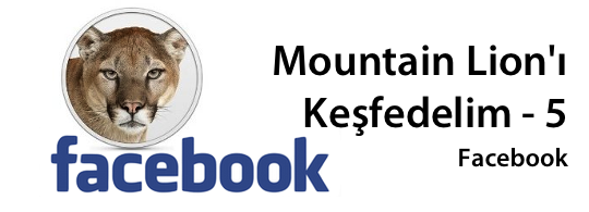 Mountain lion facebook banner
