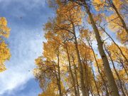 Carl Sagan’ın Sesinden: Dünya – iPhone ile Çekildi