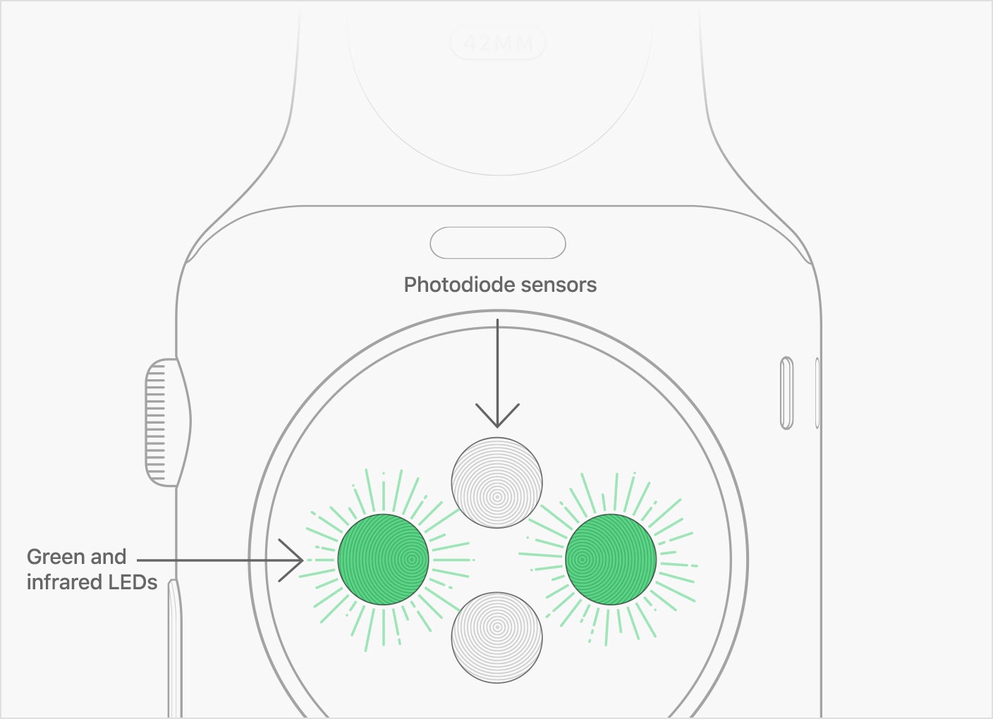 Apple Watch Kalp Sensörü