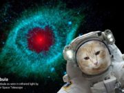 NASA Selfie Uygulaması