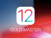 iOS 12 Golden Master GM