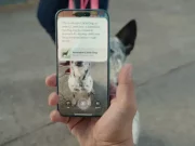 Visual Intelligence özelliği, iPhone 15 Pro’ya geliyor!