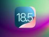 iOS 18.5’in ilk beta sürümü yayınlandı! İşte yenilikler