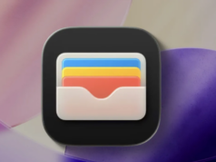 Apple Cüzdan araç anahtarı