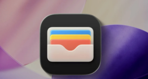 Apple Cüzdan araç anahtarı