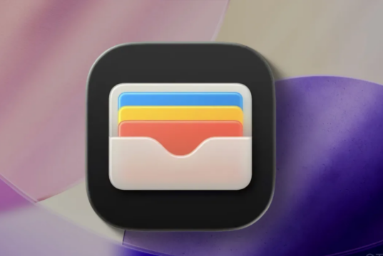 Apple Cüzdan araç anahtarı