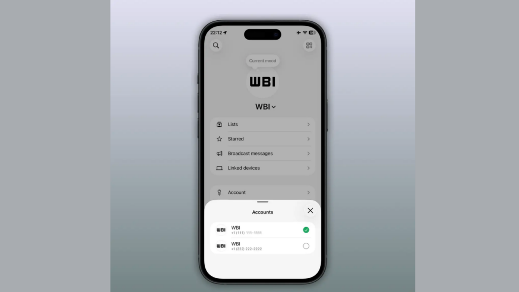 WhatsApp çoklu hesap desteği