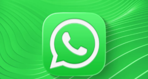 WhatsApp kullanıcı adı özelliği