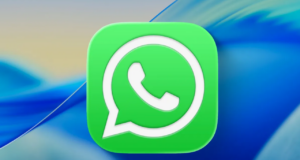 WhatsApp bulut yedekleme sistemi